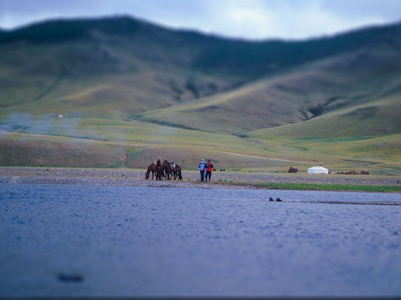 Steppenfuchs Reisen - Pferde am Fluss