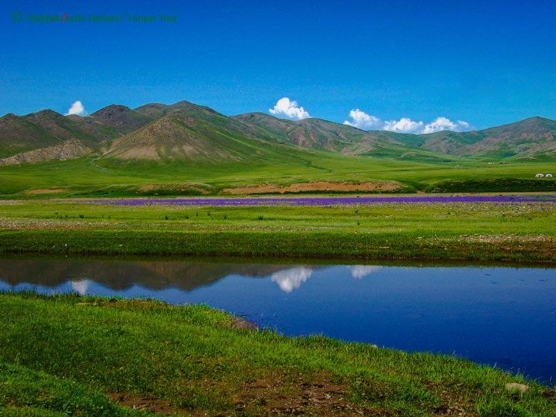 Steppenfuchs Reisen - See in der mongolischen Steppe