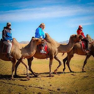 Steppenfuchs Reisen - Kamelreiten in der Gobi