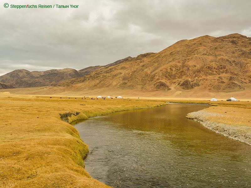 Steppenfuchs Reisen - Flussaue im Altai gebirge