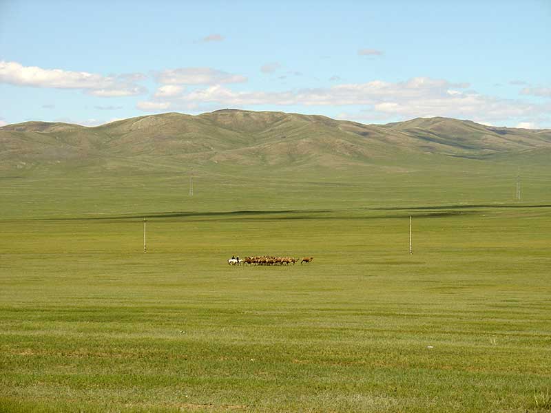 Steppenfuchs Reisen - Pferde in der Ostmongolei