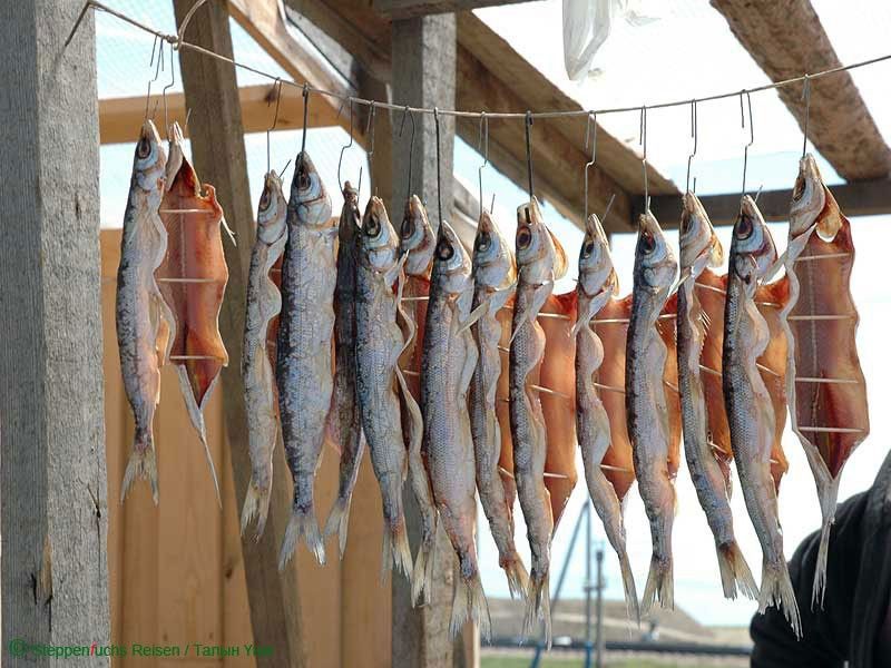 Steppenfuchs Reisen - Trockenfisch am Baikalsee