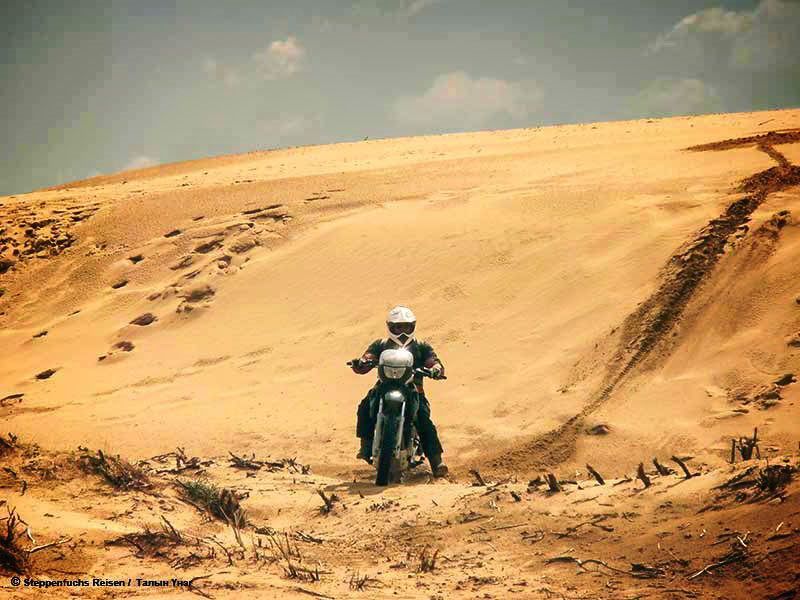 Steppenfuchs Reisen - Sanddüne Khongorin Else überquert