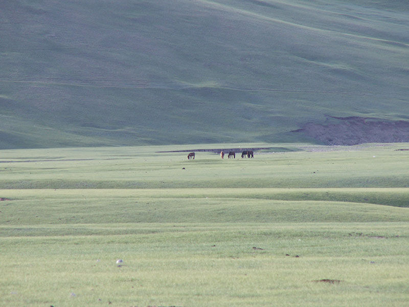 Steppenfuchs Reisen - Weite mongolische Steppenlandschaft