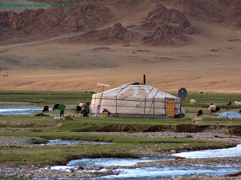 Steppenfuchs Reisen - Nomadenfamilie mit ihren Jurten