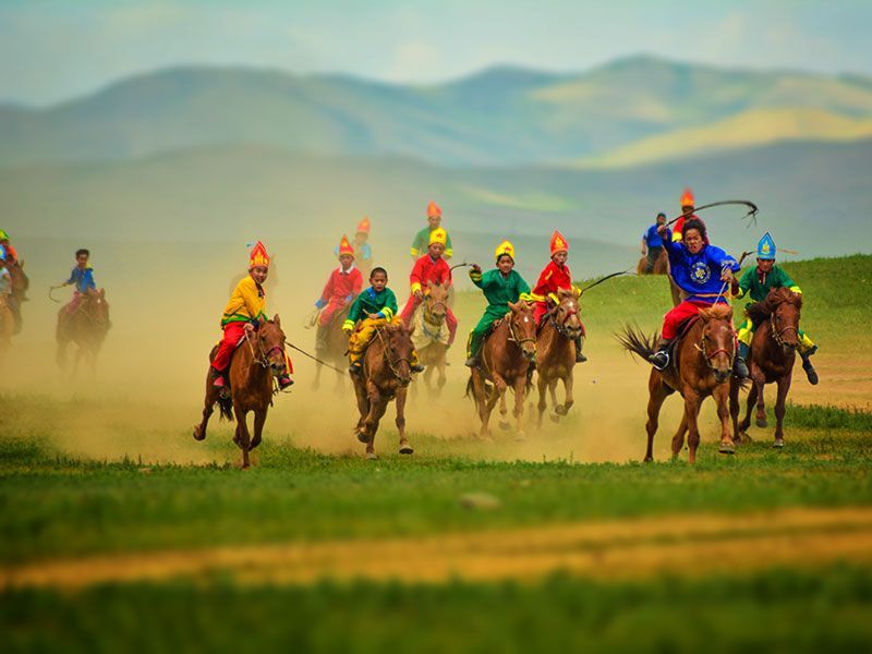 Steppenfuchs Reisen - Naadam Pferderennen