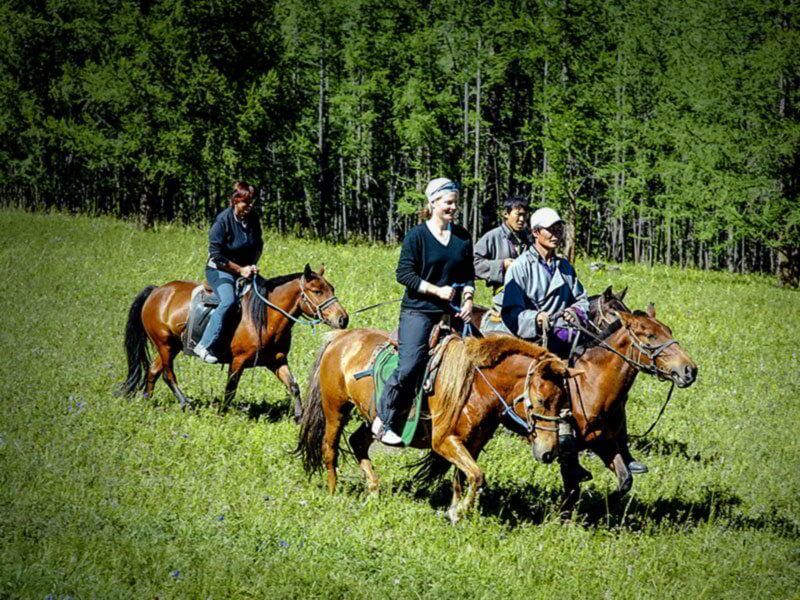Steppenfuchs Reisen - Unsere Gäste auf dem Pferd unterwegs