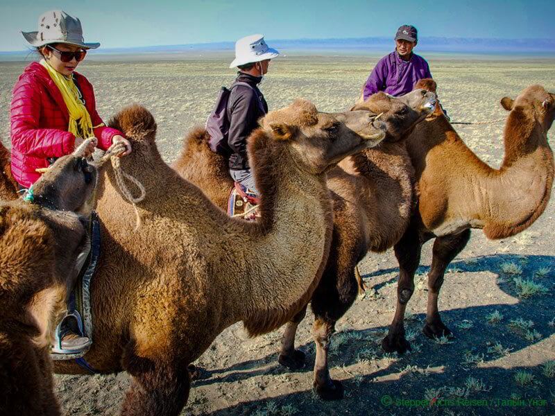 Steppenfuchs Reisen - Unsere Gäste auf dem Kamel ind er Gobi