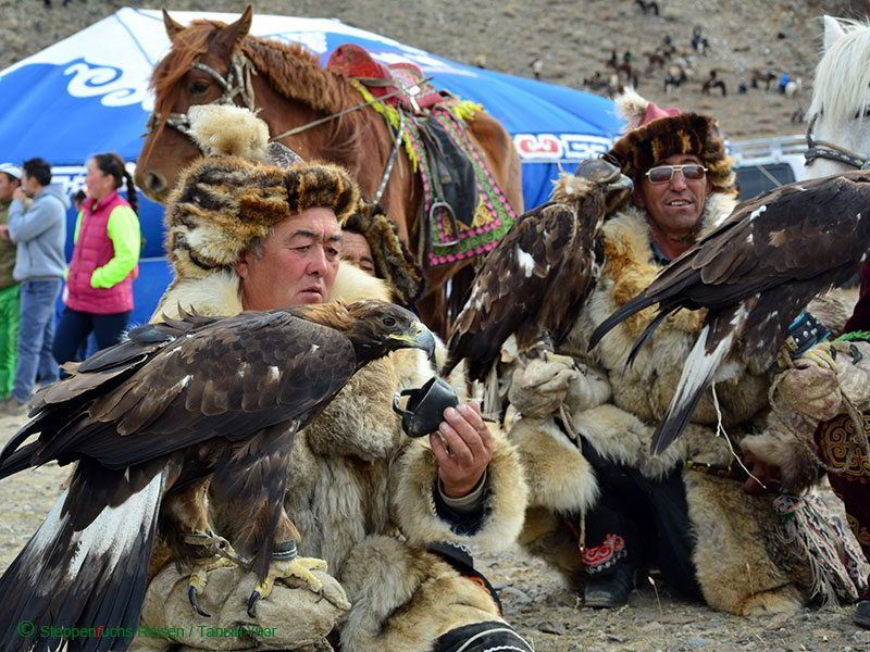 Steppenfuchs Reisen - Treffen von Adlerjägern im Altai
