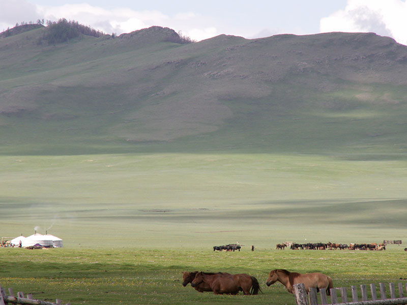 Steppenfuchs Reisen - Steppenidylle in der Mongolei