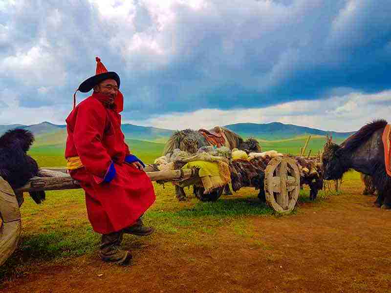Steppenfuchs Reisen - Alter mongolischer Yak-Karren