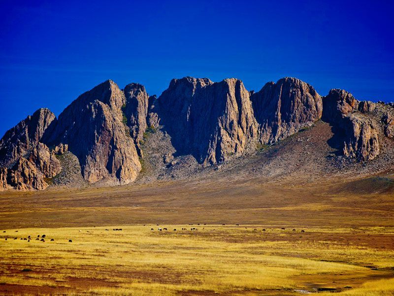 Steppenfuchs Reisen - Gobi Altai
