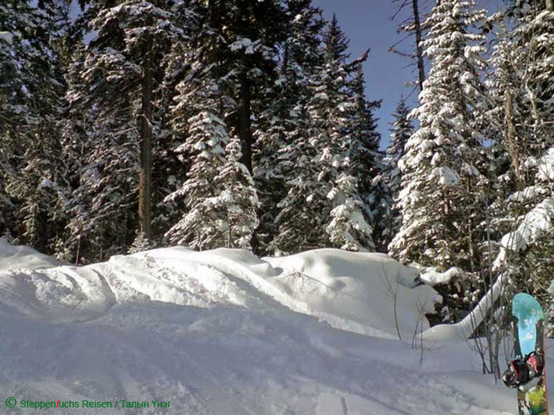 Steppenfuchs Reisen - Winterwald Baikalsee