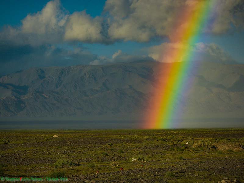 Steppenfuchs Reisen - Regenbogen im Altaigebirge