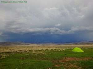 Steppenefuchs Reisen - Zeltem im Altai gebirge